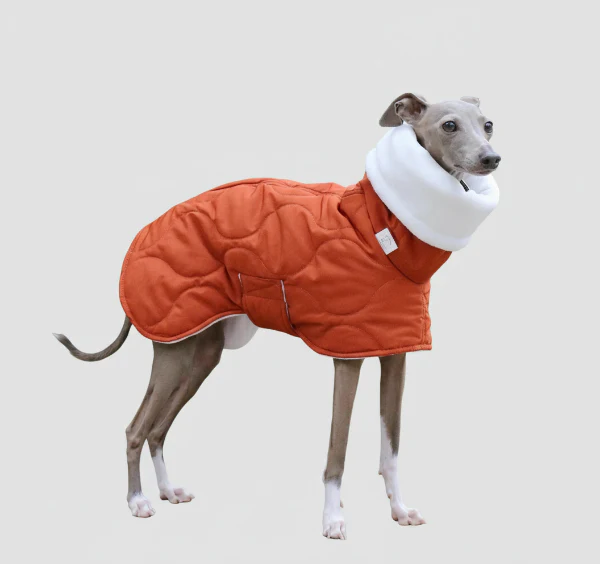 Manteau Hiver Pour Lévrier Chaud Et Confortable – Image 2