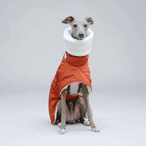 Manteau Hiver Pour Lévrier Chaud Et Confortable – Image 3