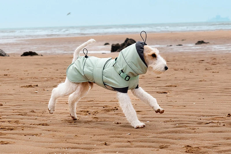 Manteau Imperméable Pour Chien Avec Bande Réfléchissante – Image 5