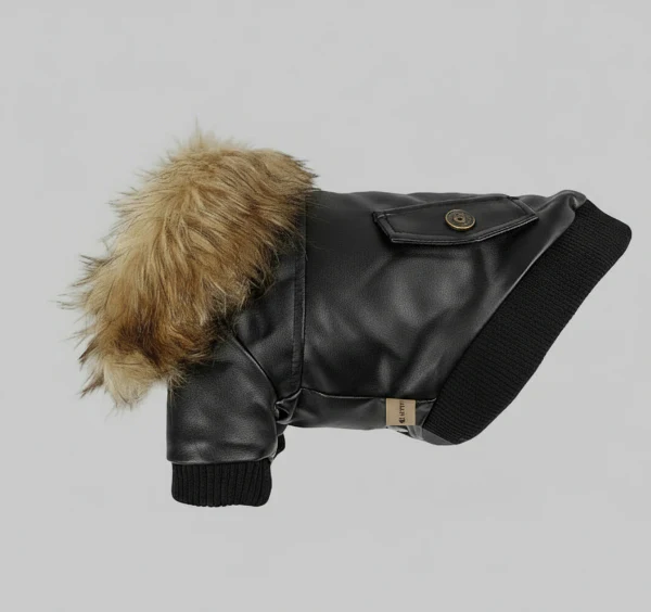 Manteau Chaud Et Imperméable Pour Chien