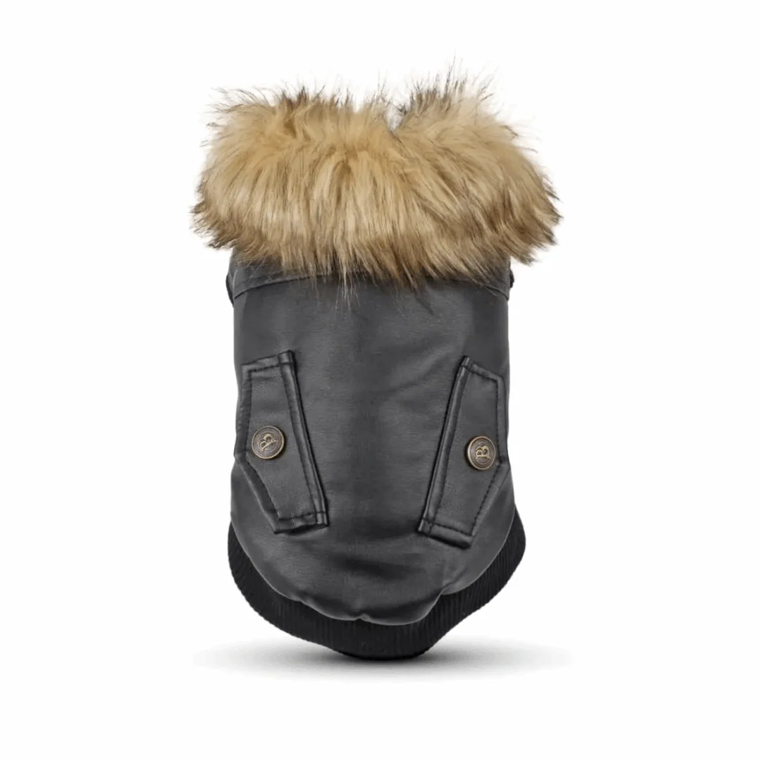 Manteau Chaud Et Imperméable Pour Chien – Image 3