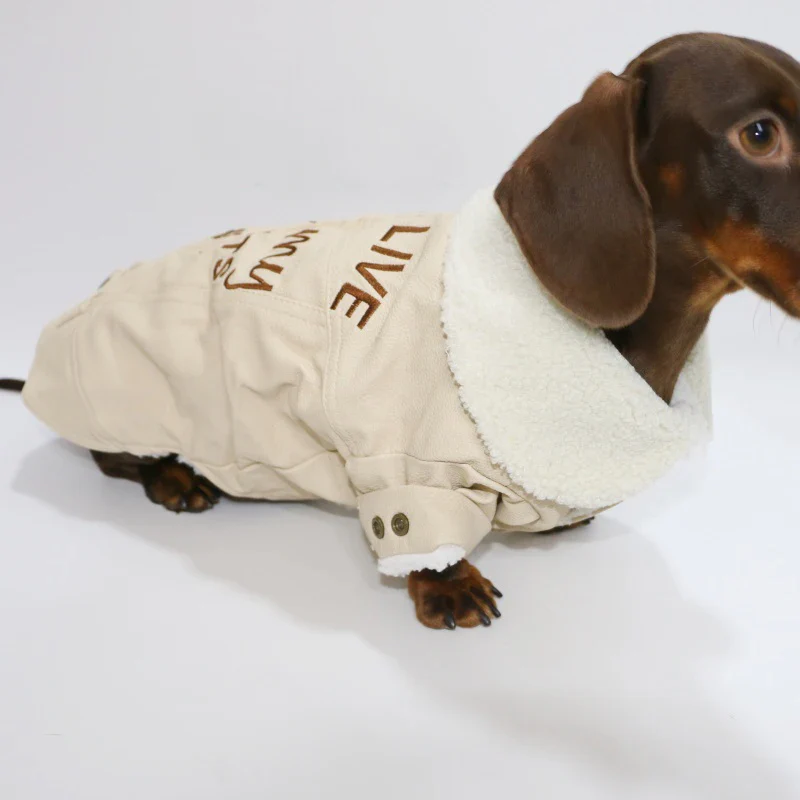 Manteau Hiver Simili Cuir Et Doublure Polaire Pour Teckel – Image 3