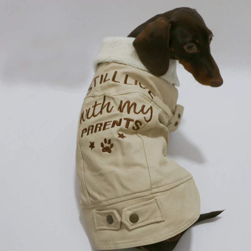 Manteau Hiver Simili Cuir Et Doublure Polaire Pour Teckel – Image 4