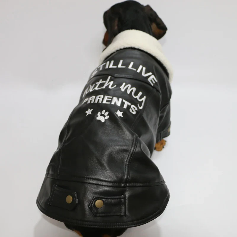 Manteau Hiver Simili Cuir Et Doublure Polaire Pour Teckel – Image 5