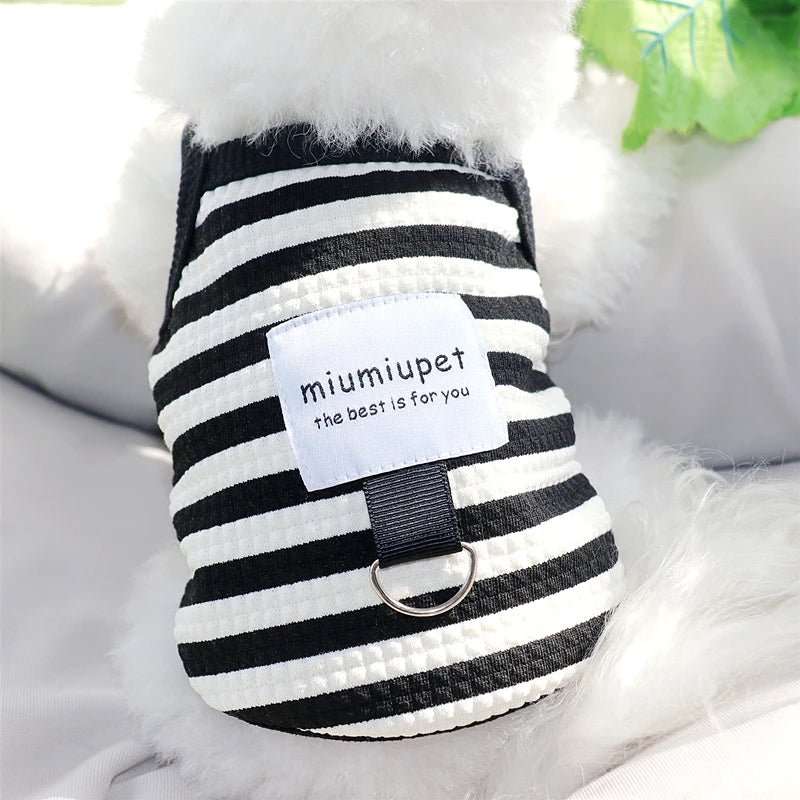 T-shirt Rayé Pour Chien Confortable – Image 5