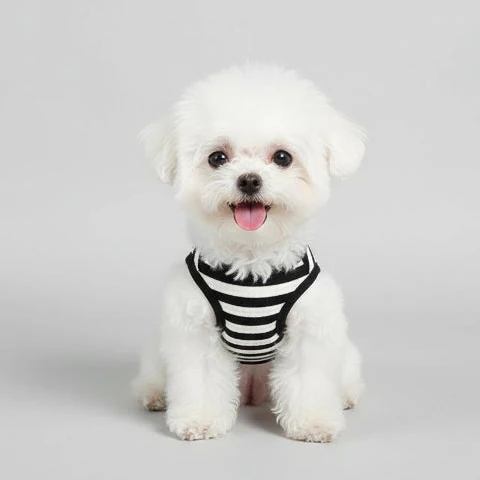 T-shirt Rayé Pour Chien Confortable – Image 2