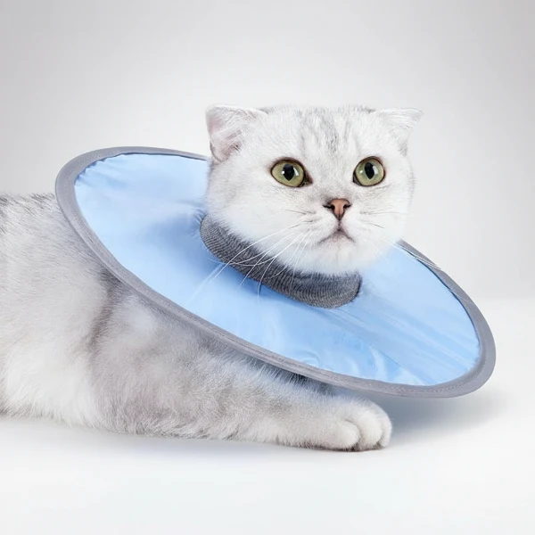 Collerette de protection waterproof pour chat