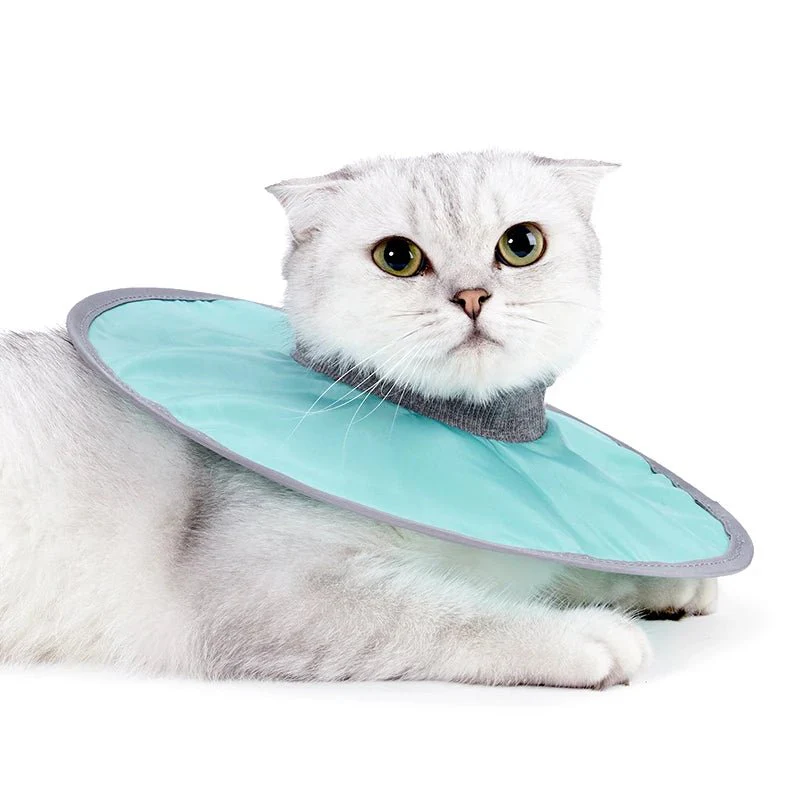 Collerette de protection waterproof pour chat – Image 3