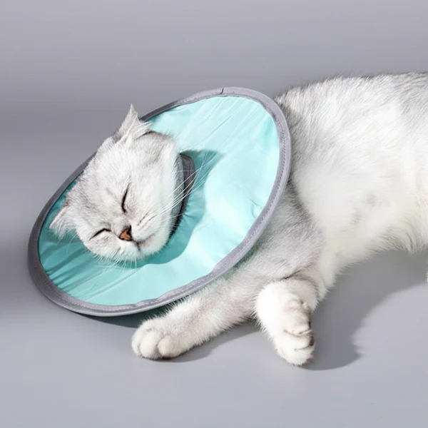 Collerette de protection waterproof pour chat – Image 6