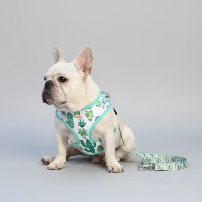 Ensemble harnais et laisse à motif pour chien – Image 5