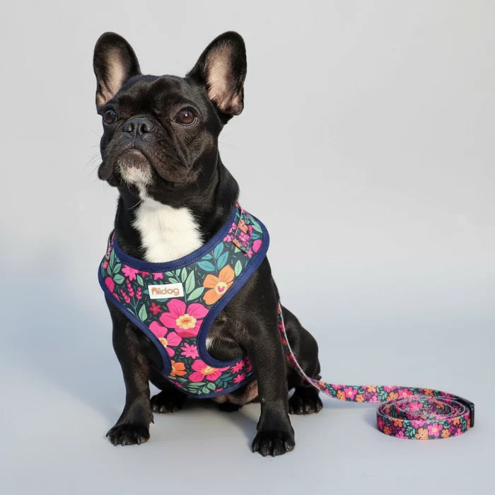 Ensemble harnais et laisse à motif pour chien – Image 6