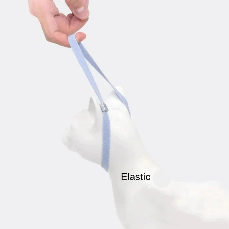 Collier Anti-Étranglement Personnalisable Chat Et Chien – Image 9