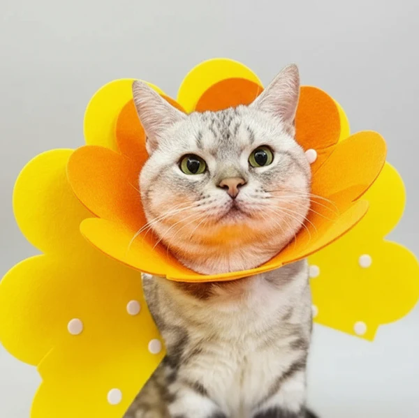 Collerette de protection en feutrine pour chat – Image 2