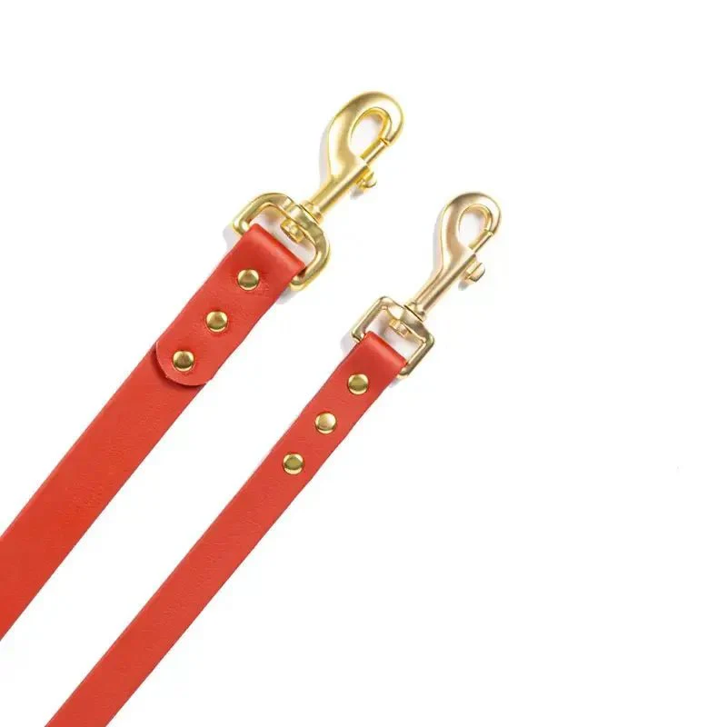 Laisse Imperméable De 1.5 M Pour Chien – Image 8