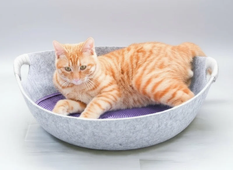 Panier Design En Feutre Lavable Pour Chat – Image 5