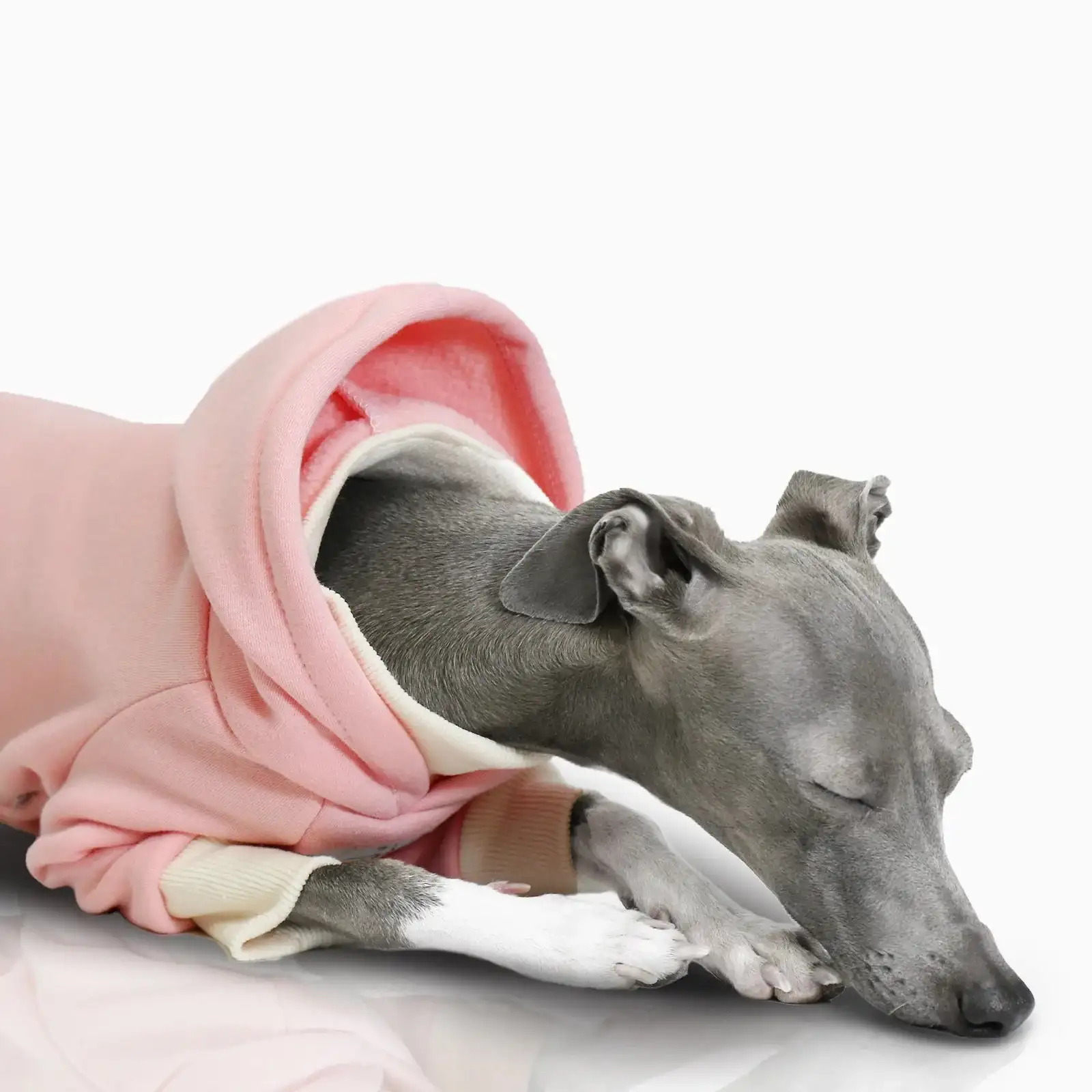 Pull A Capuche Doux Pour Lévrier Et Whippet – Image 6