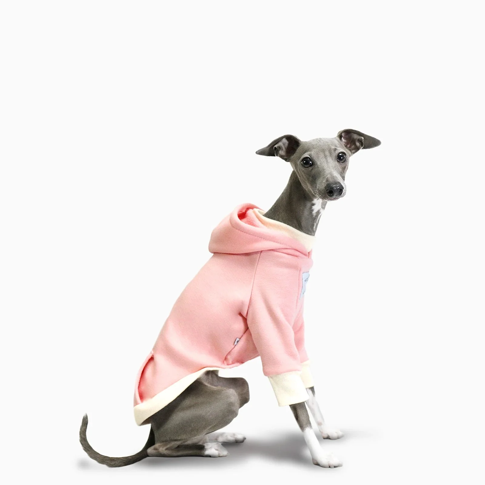 Pull A Capuche Doux Pour Lévrier Et Whippet