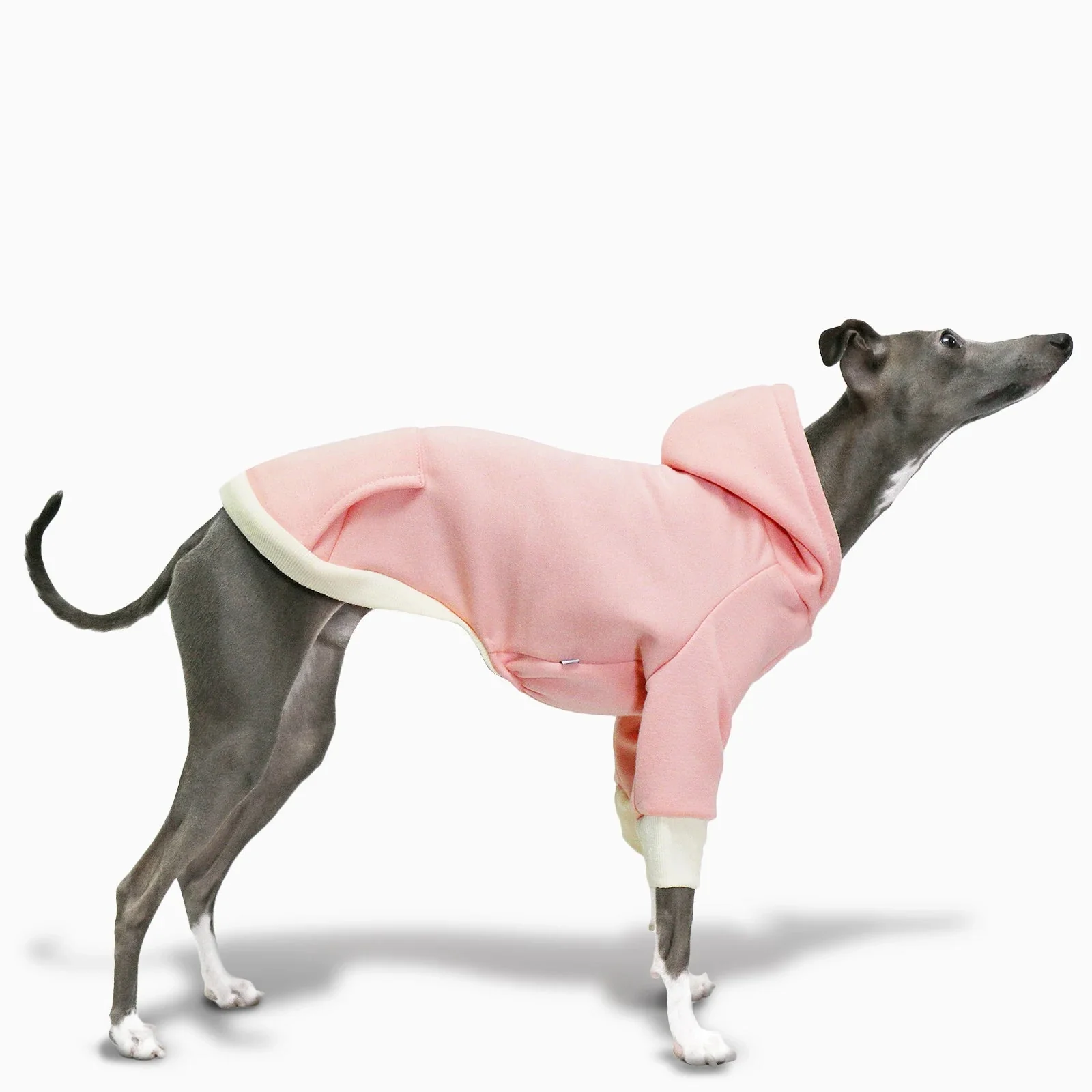 Pull A Capuche Doux Pour Lévrier Et Whippet – Image 2