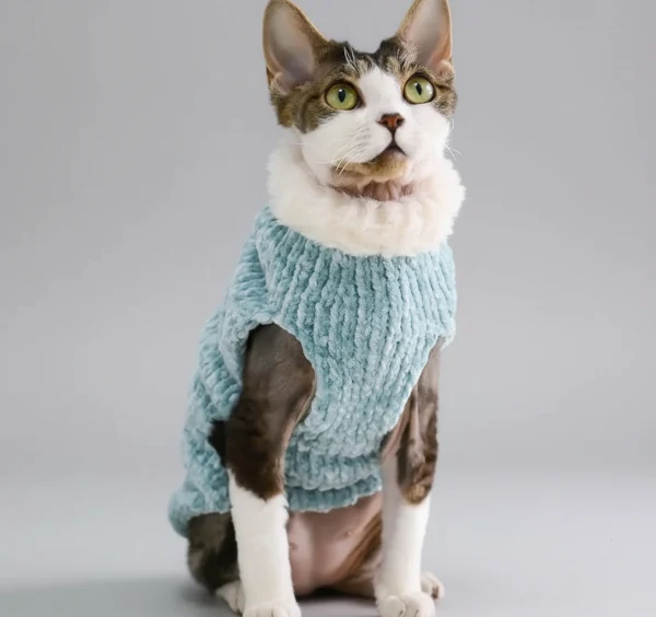 Pull Col Roulé Confortable Pour Chat – Image 3