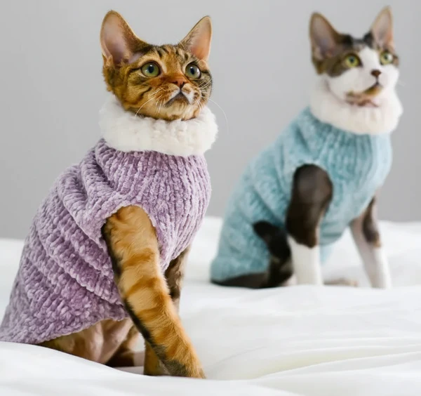 Pull Col Roulé Confortable Pour Chat