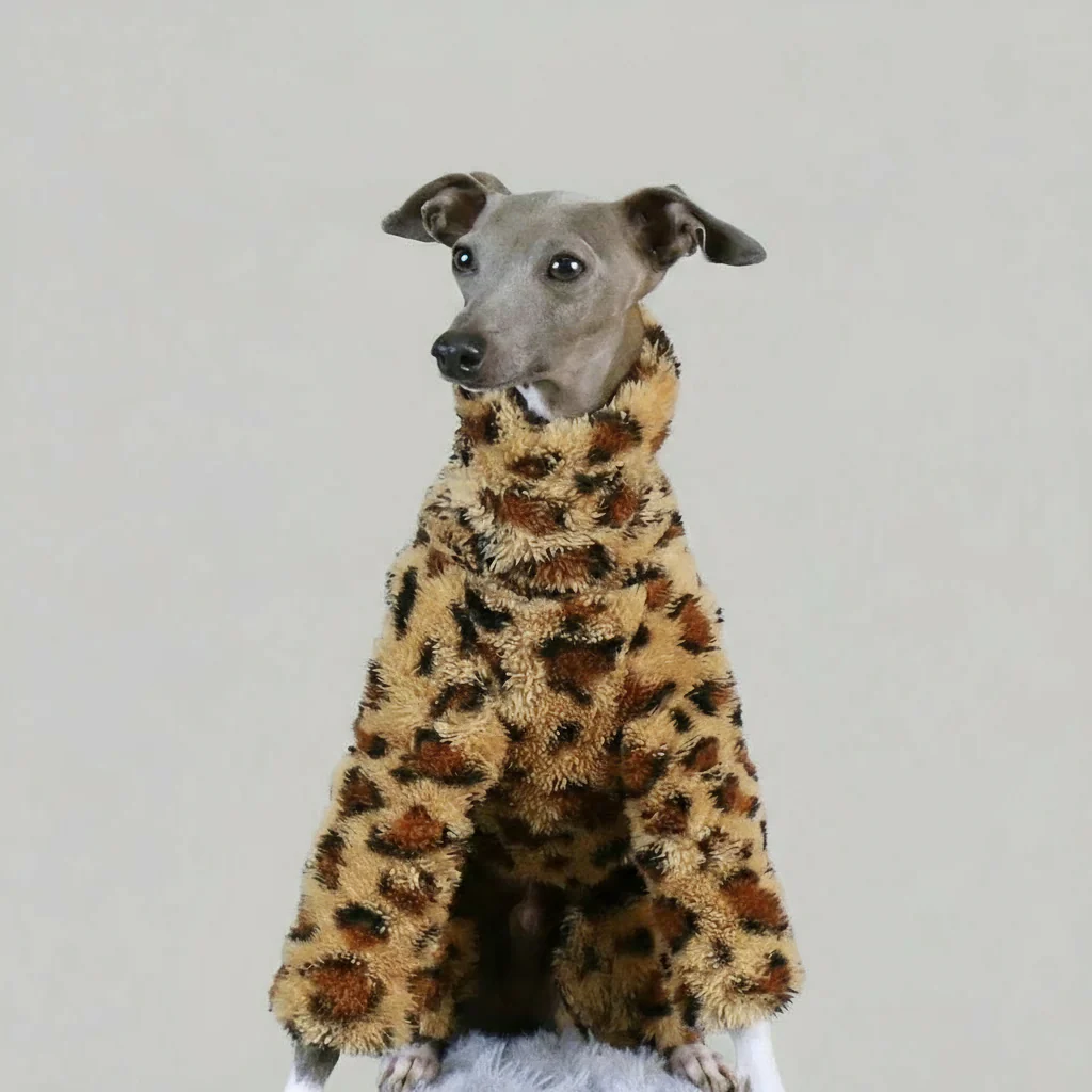 Pull Polaire Léopard Pour Whippet Lévrier
