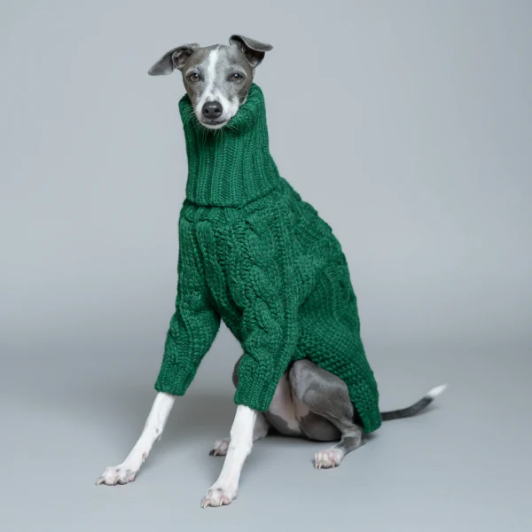 Pull Tricot Torsadé Col Roulé Pour Lévrier Et Whippet