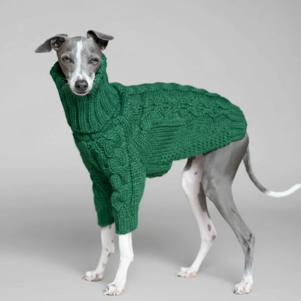 Pull Tricot Torsadé Col Roulé Pour Lévrier Et Whippet – Image 2