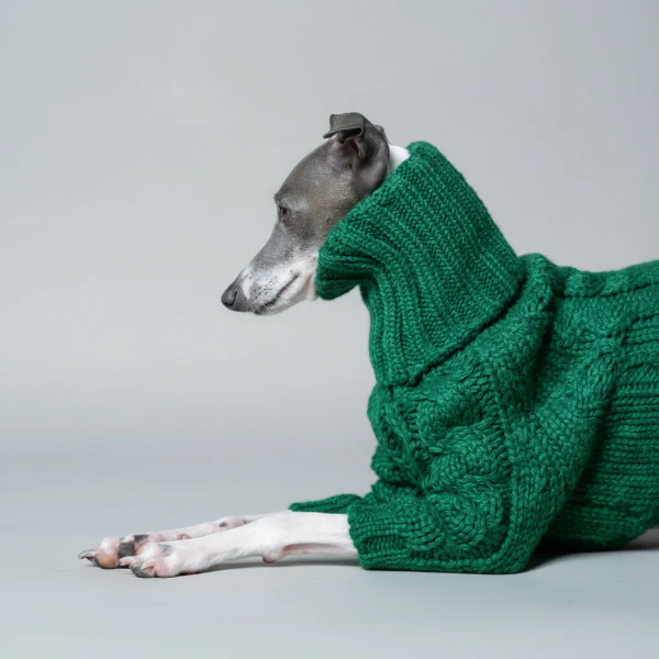 Pull Tricot Torsadé Col Roulé Pour Lévrier Et Whippet – Image 3