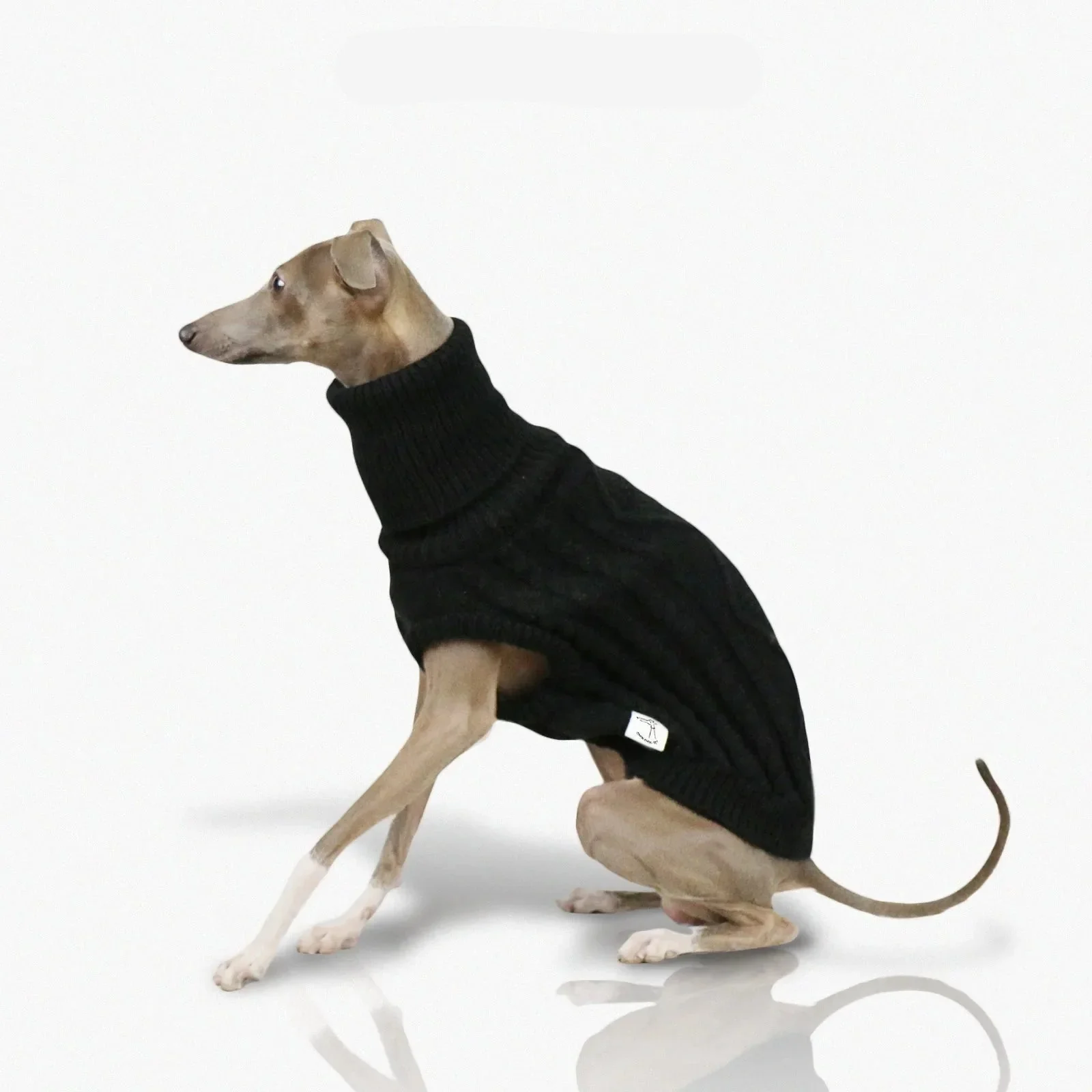 Pull Col Haut En Laine Douce Pour Whippet Et Lévrier – Image 9