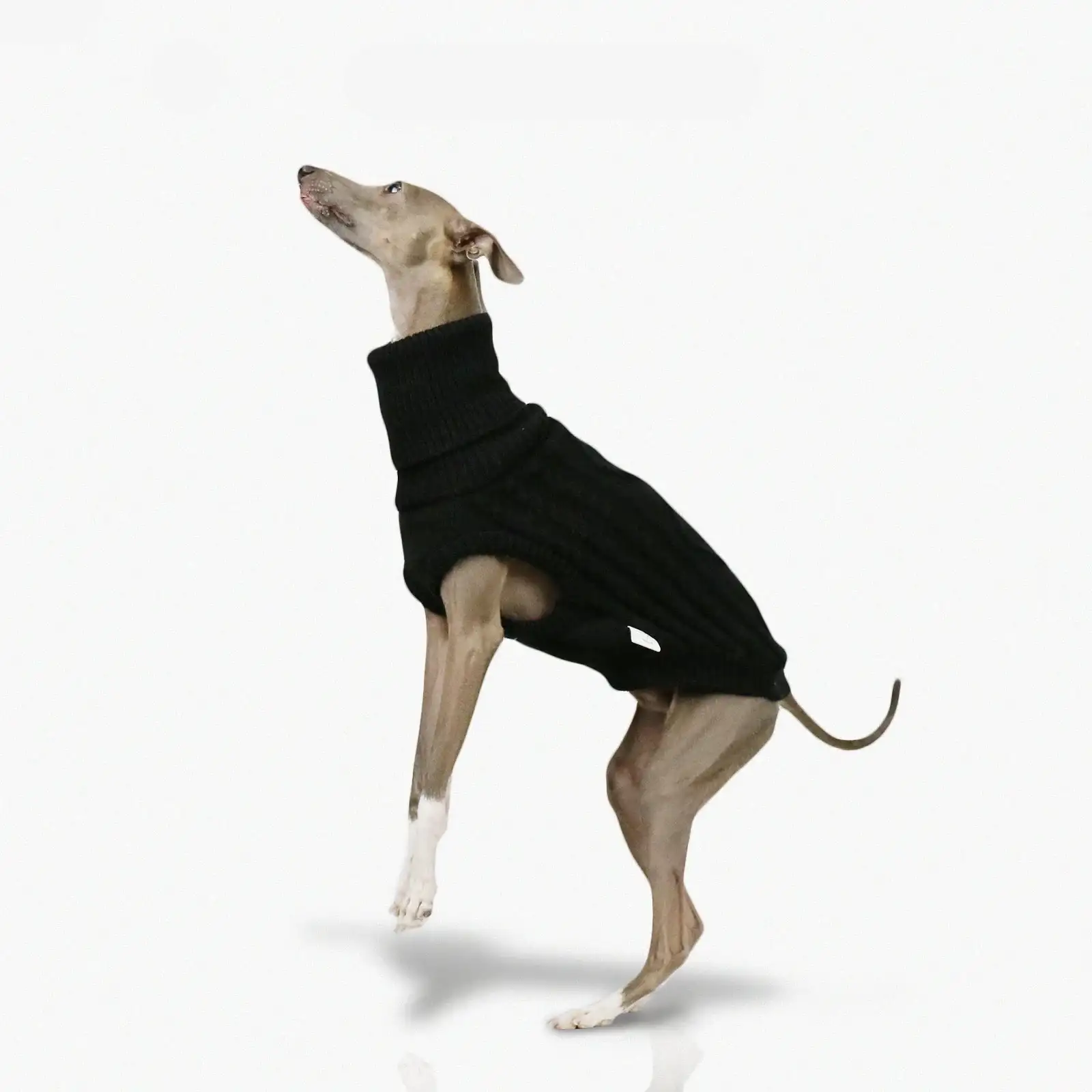 Pull Col Haut En Laine Douce Pour Whippet Et Lévrier – Image 4