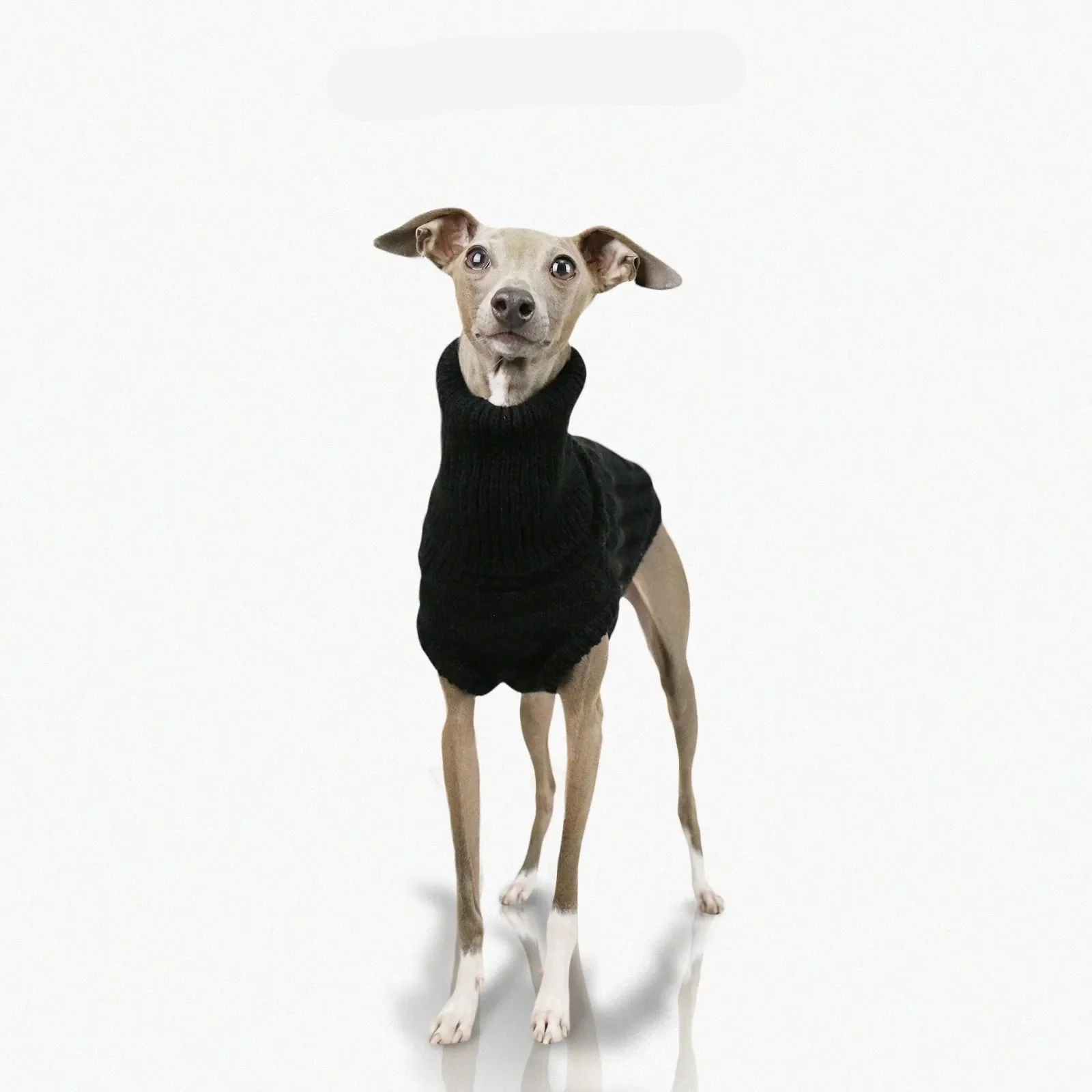Pull Col Haut En Laine Douce Pour Whippet Et Lévrier – Image 8