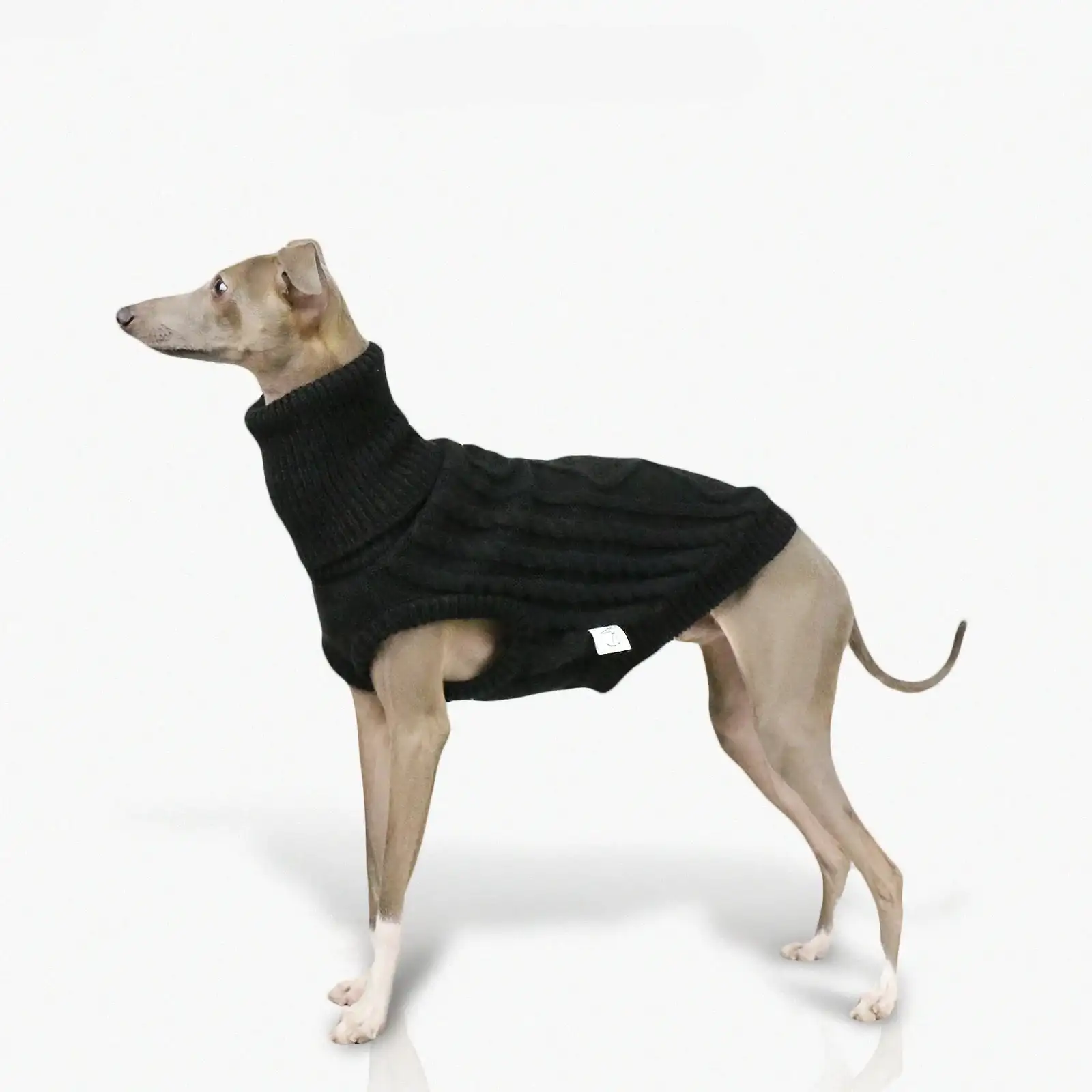 Pull Col Haut En Laine Douce Pour Whippet Et Lévrier – Image 2