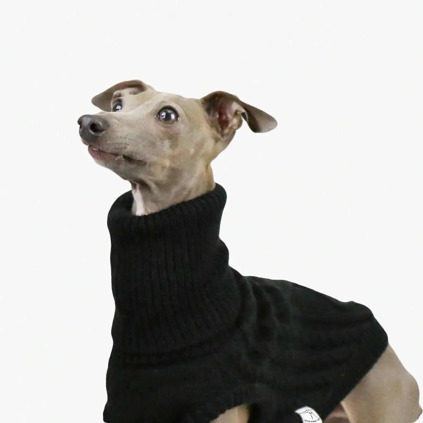 Pull Col Haut En Laine Douce Pour Whippet Et Lévrier – Image 5