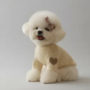 Pull Pour Petit Chien Doux Et Elégant