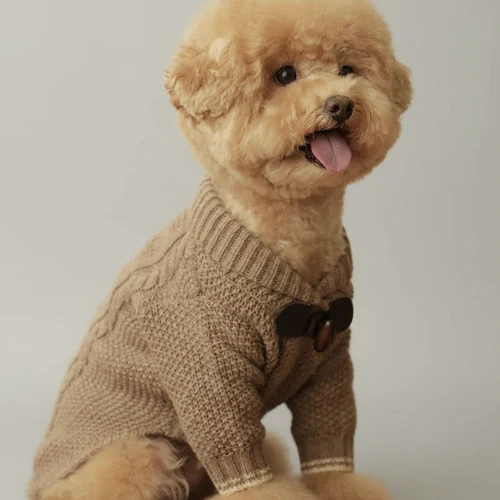 Pull Confortable Et Elégant Pour Petit Chien – Image 3