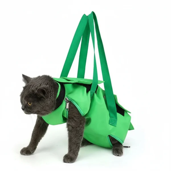 Sac À Dos De Voyage Pour Chat Ou Petit Chien