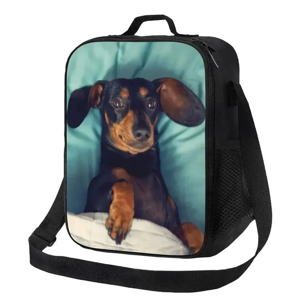 Sac Isotherme Design Chien Pratique – Image 4