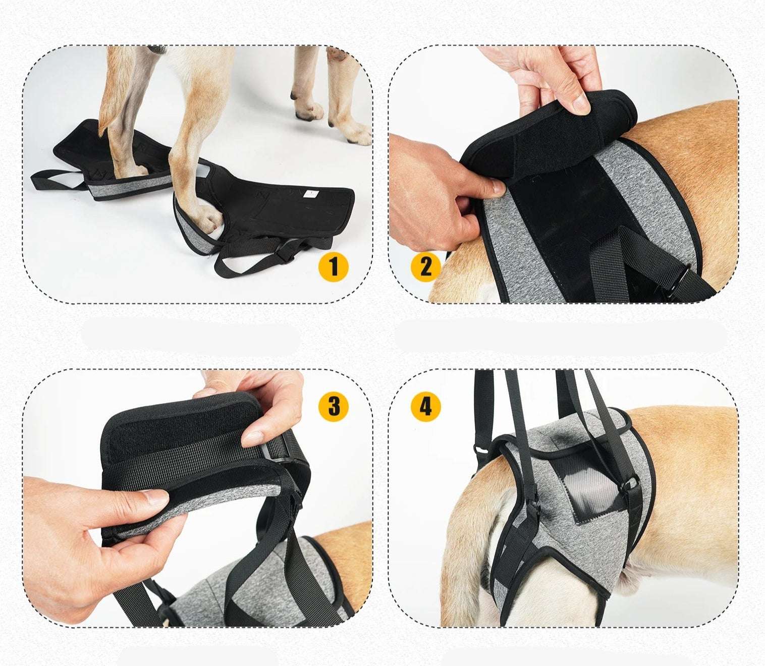 Support Lombaires Réglable Pour Grand Chien – Image 4