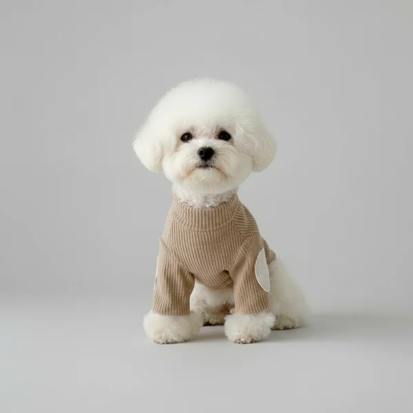 Sweat-Shirt En Coton Pour Petit Chien – Image 3
