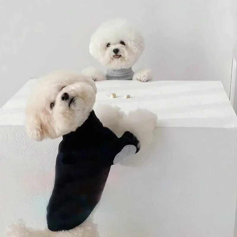 Sweat-Shirt En Coton Pour Petit Chien – Image 7