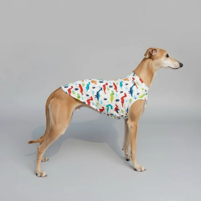 T-Shirt De Protection Pour Lévrier Et Whippet – Image 3