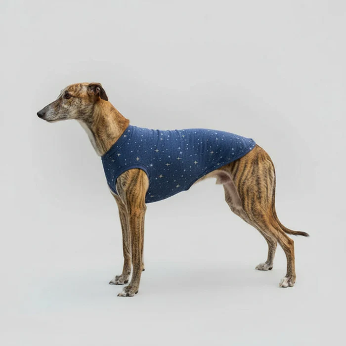 T-Shirt De Protection Pour Lévrier Et Whippet