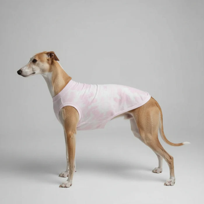 T-Shirt De Protection Pour Lévrier Et Whippet – Image 2
