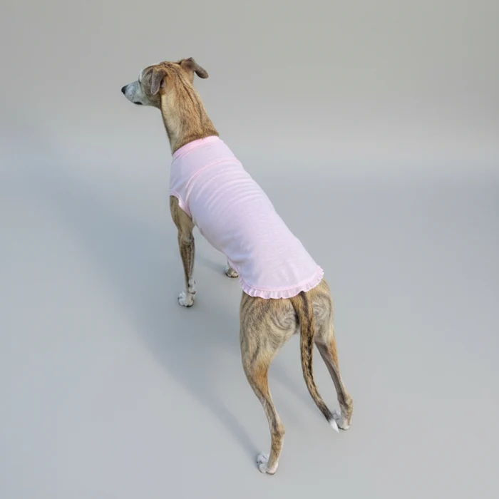 T-Shirt De Protection Pour Lévrier Et Whippet – Image 5