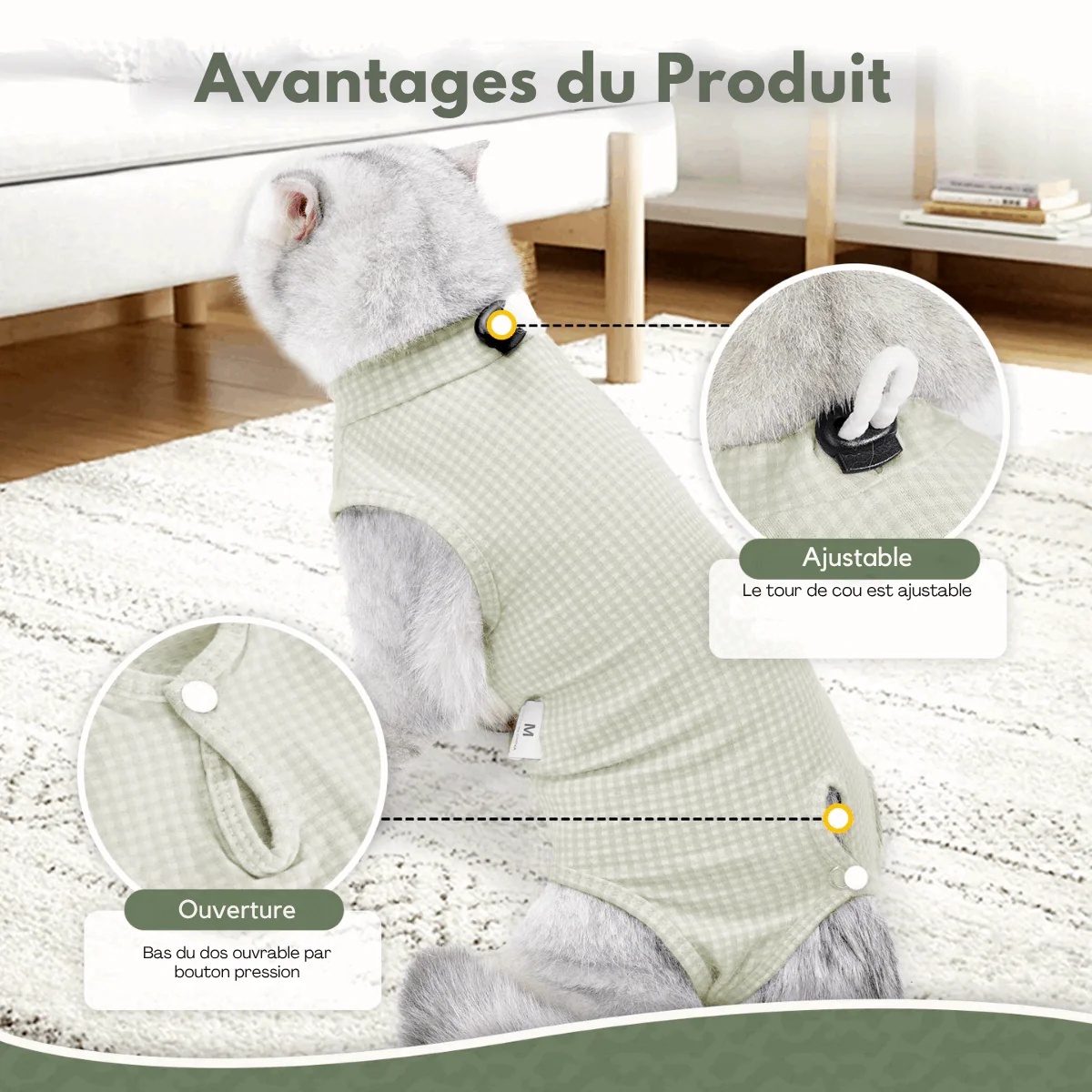Tee-Shirt Confort Post Opération Pour Chat – Image 4