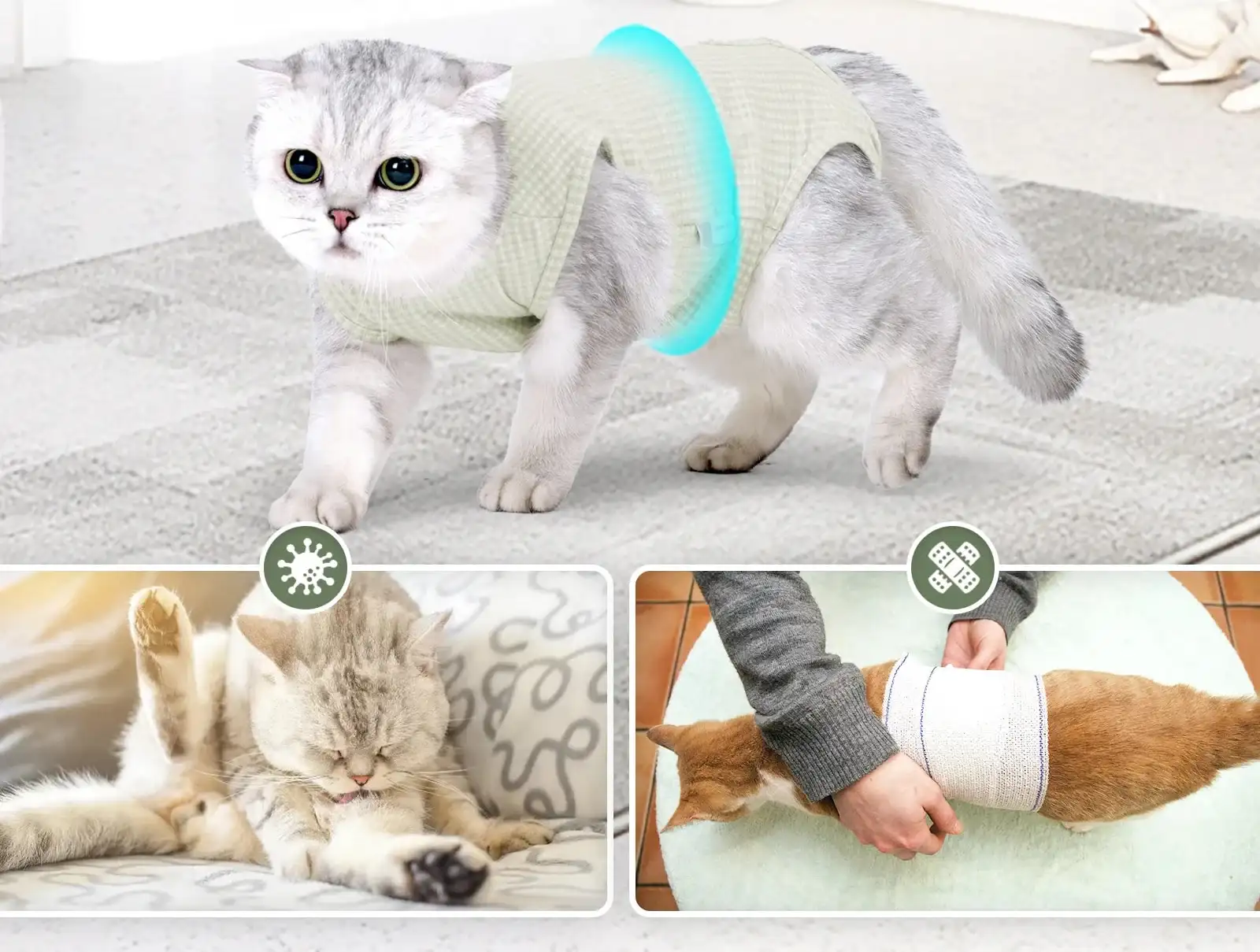 Tee-Shirt Confort Post Opération Pour Chat – Image 3