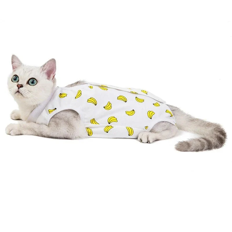 T-Shirt Post Opératoire Pour Chat - Motifs Colorés – Image 8