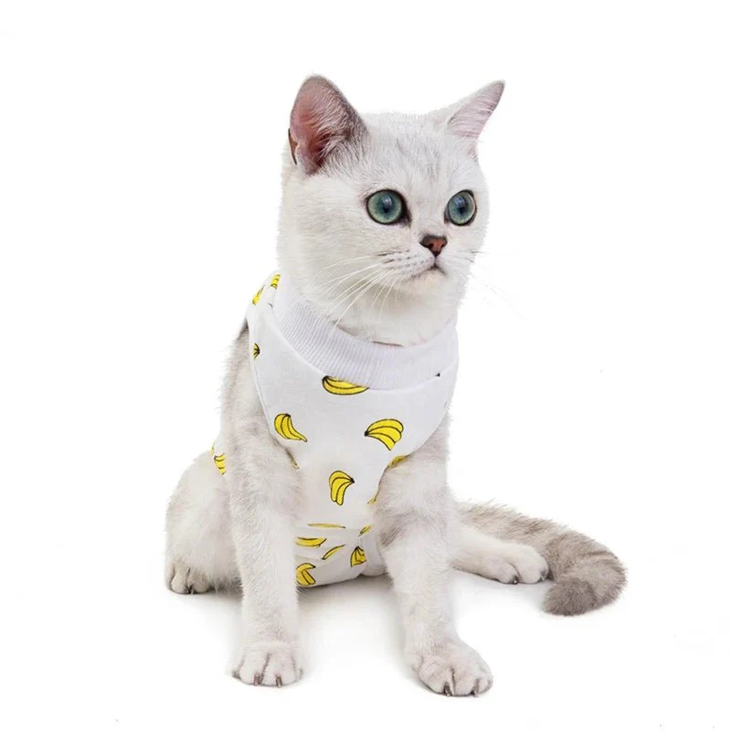 T-Shirt Post Opératoire Pour Chat - Motifs Colorés – Image 7
