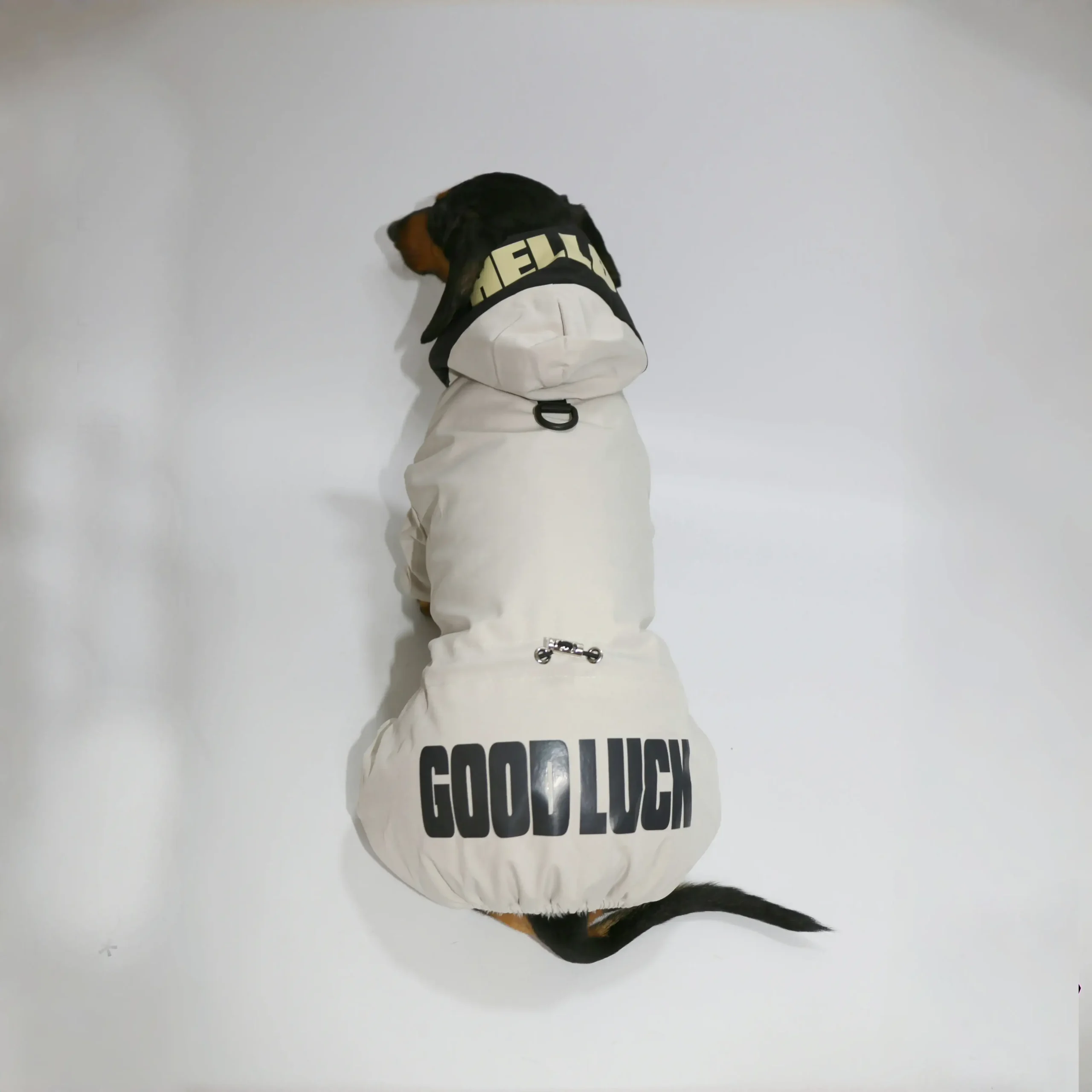 Veste Coupe-Vent Confortable Pour Teckel – Image 6