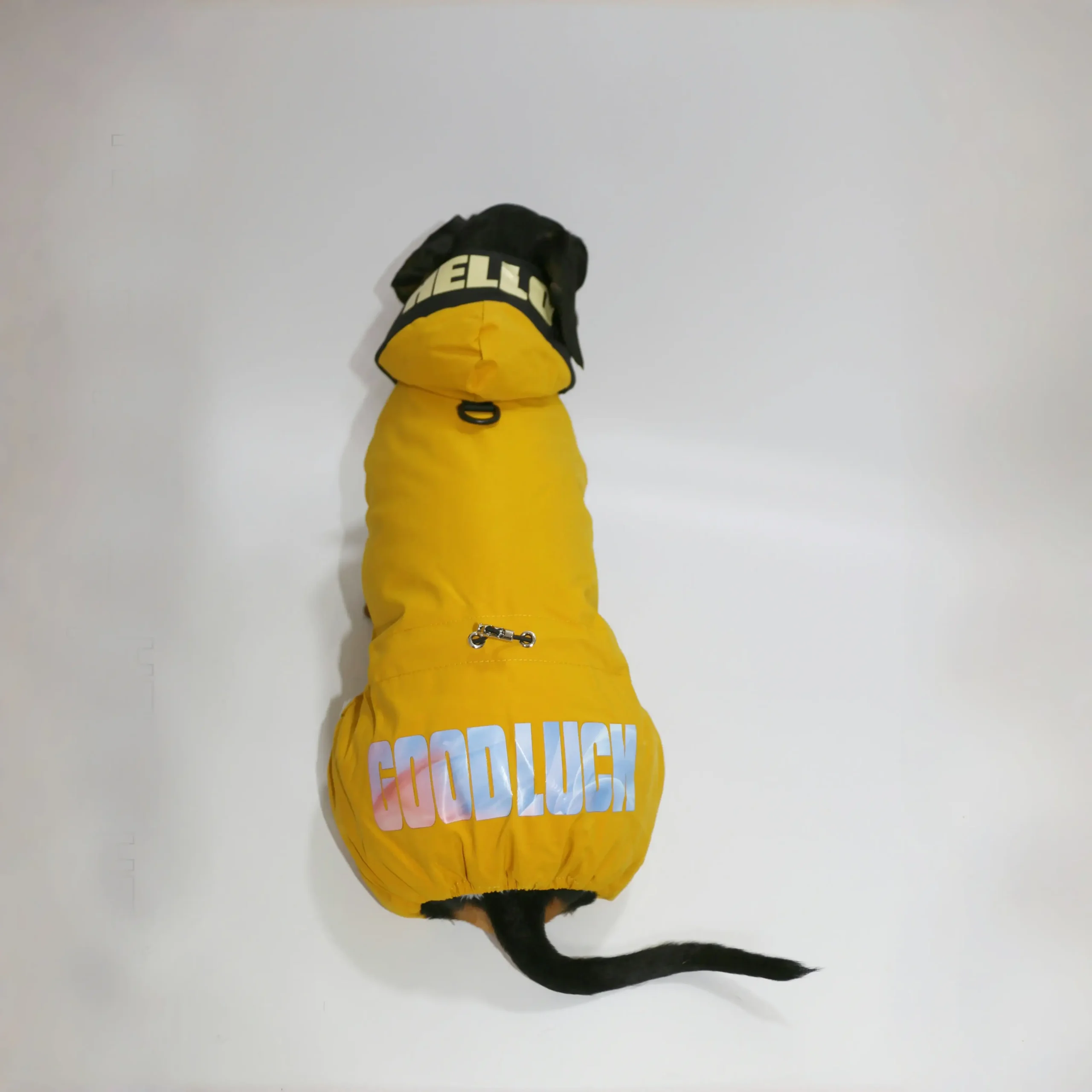 Veste Coupe-Vent Confortable Pour Teckel – Image 8